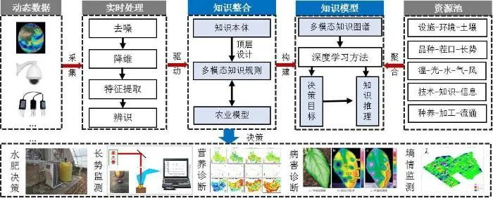 农业知识智能服务应用场景构建